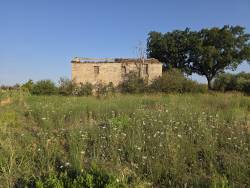 Casa colonica Rimini zona S. Maria in Cerreto